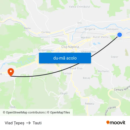 Harta de Vlad Țepeș către Tauti