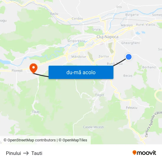 Harta de Pinului către Tauti