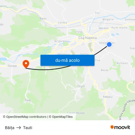 Harta de Băița către Tauti