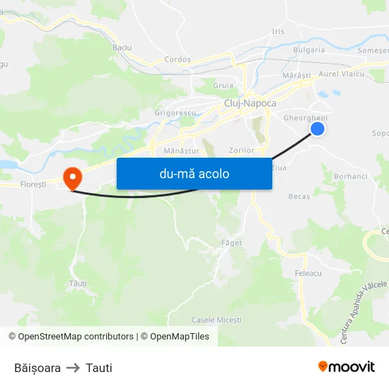 Harta de Băișoara către Tauti