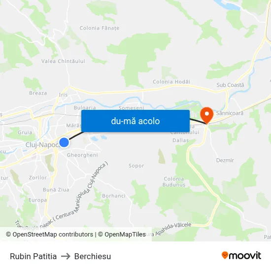 Harta de Rubin Patitia către Berchiesu