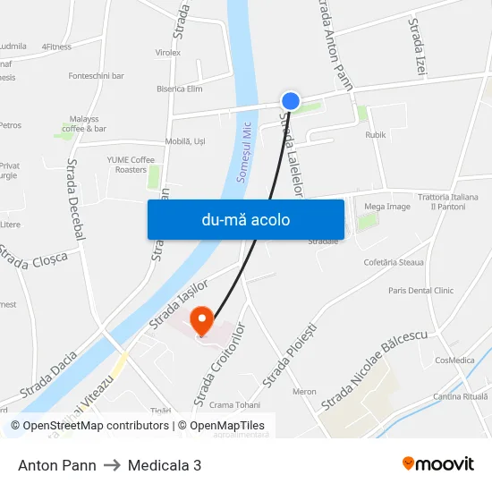 Harta de Anton Pann către Medicala 3