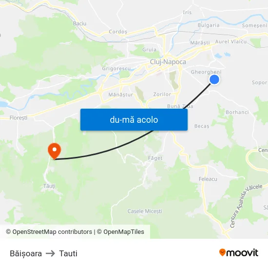 Harta de Băișoara către Tauti