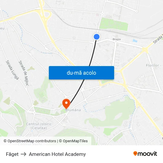 Harta de Făget către American Hotel Academy