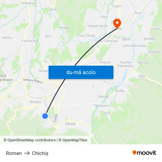 Harta de Roman către Chichiș