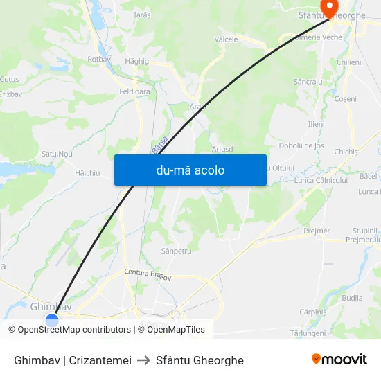 Harta de Ghimbav | Crizantemei către Sfântu Gheorghe