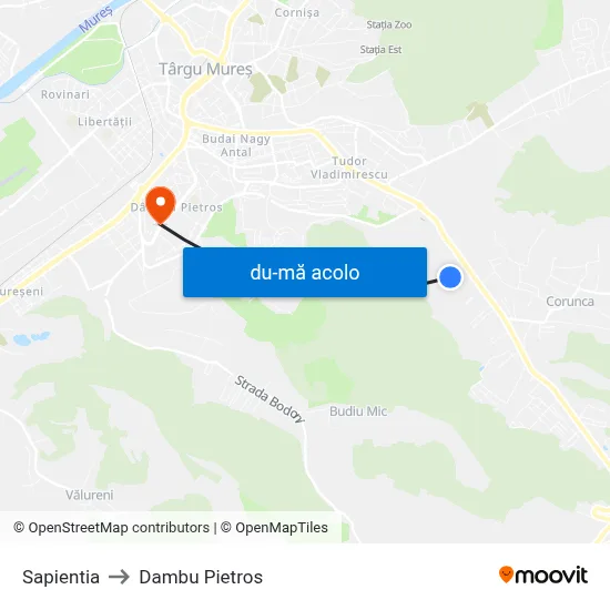 Harta de Sapientia către Dambu Pietros