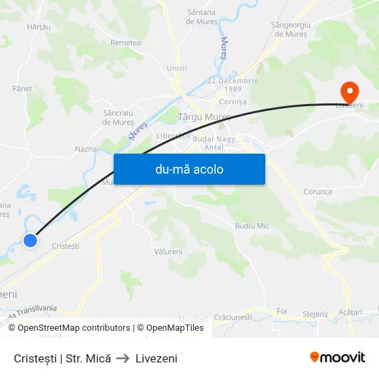 Harta de Cristești | Str. Mică către Livezeni