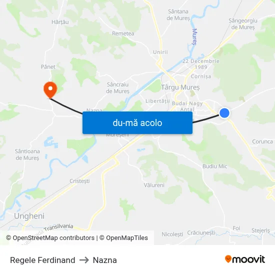 Harta de Regele Ferdinand către Nazna