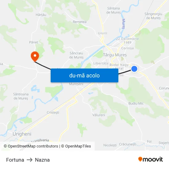 Harta de Fortuna către Nazna