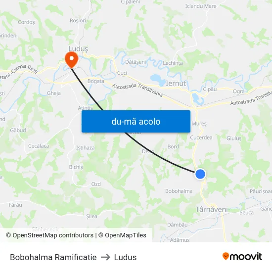 Harta de Bobohalma Ramificatie către Ludus