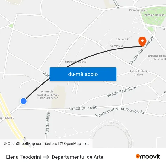 Harta de Elena Teodorini către Departamentul de Arte