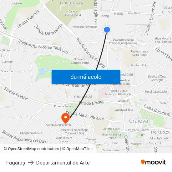 Harta de Făgăraş către Departamentul de Arte