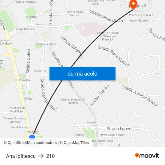 Harta de Ana Ipătescu către 210