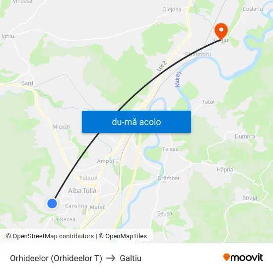 Harta de Orhideelor (Orhideelor T) către Galtiu