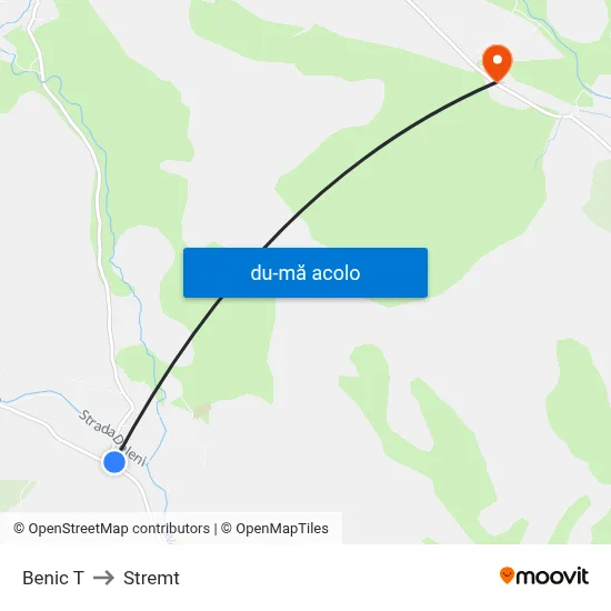 Harta de Benic T către Stremt