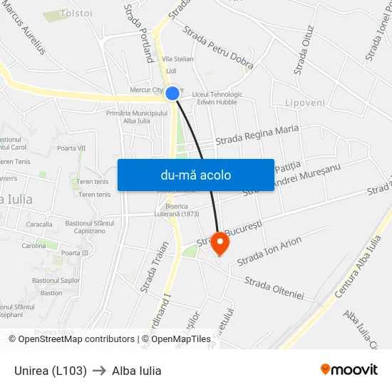 Harta de Unirea (L103) către Alba Iulia