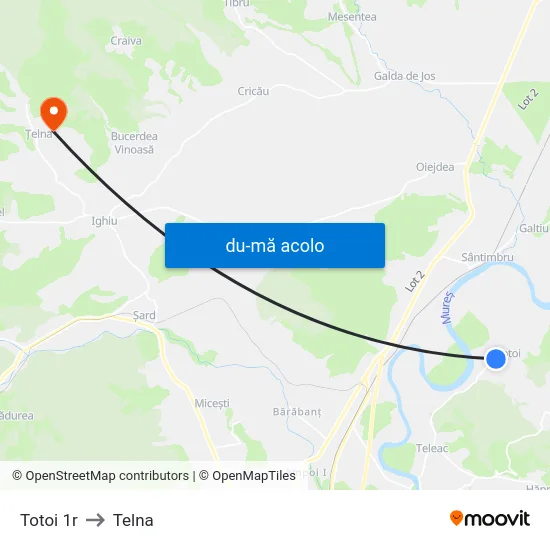 Harta de Totoi 1r către Telna