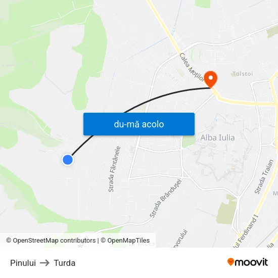 Harta de Pinului către Turda