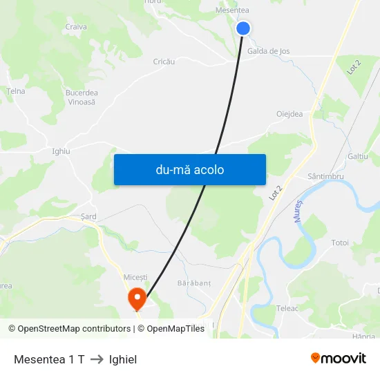 Harta de Mesentea 1 T către Ighiel