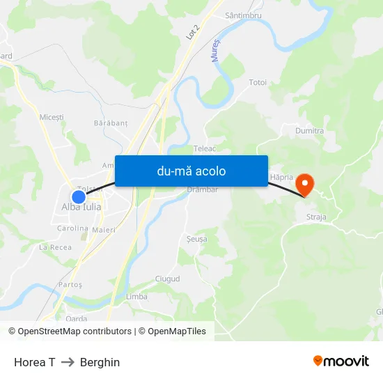 Harta de Horea T către Berghin