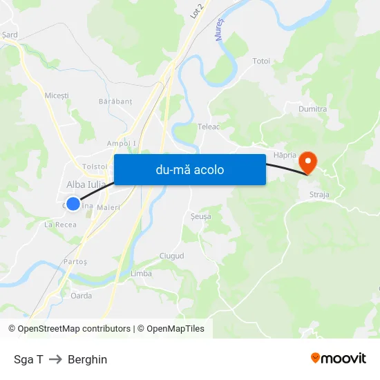 Harta de Sga T către Berghin