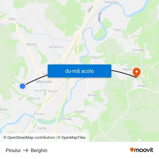 Harta de Pinului către Berghin