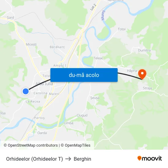 Harta de Orhideelor (Orhideelor T) către Berghin