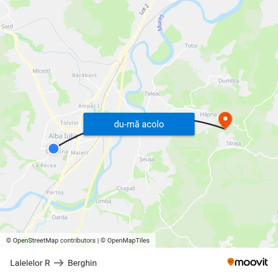 Harta de Lalelelor R către Berghin