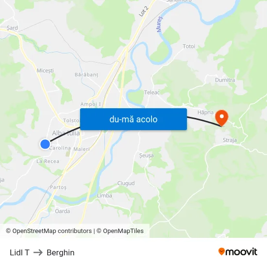 Harta de Lidl T către Berghin