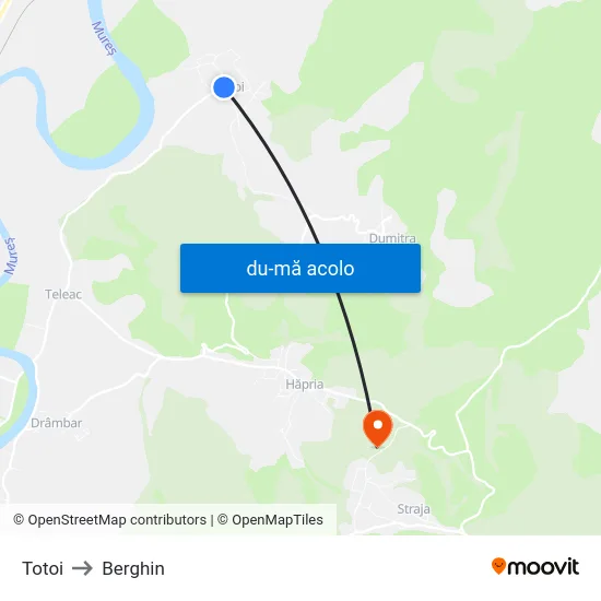 Harta de Totoi către Berghin