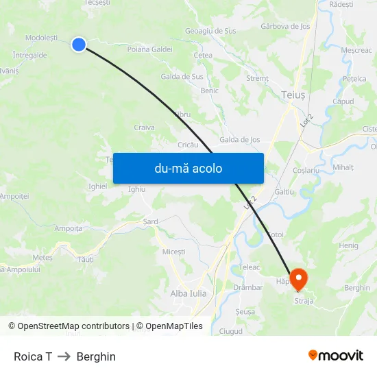 Harta de Roica T către Berghin