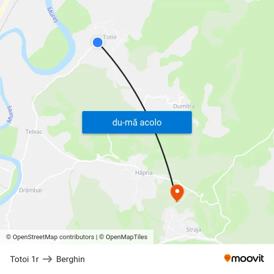 Harta de Totoi 1r către Berghin