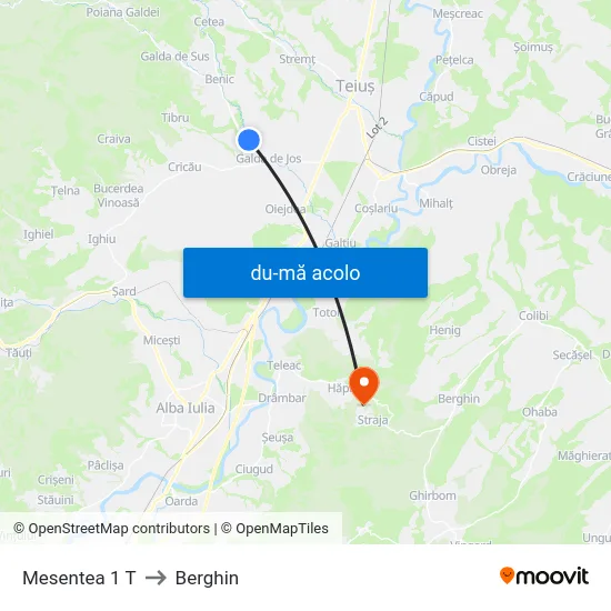 Harta de Mesentea 1 T către Berghin