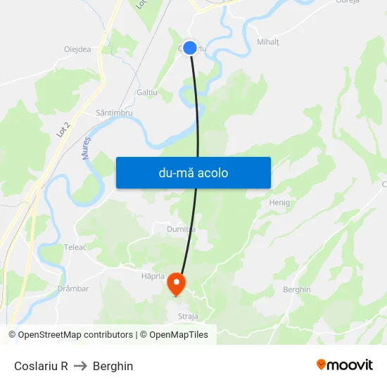 Harta de Coslariu R către Berghin