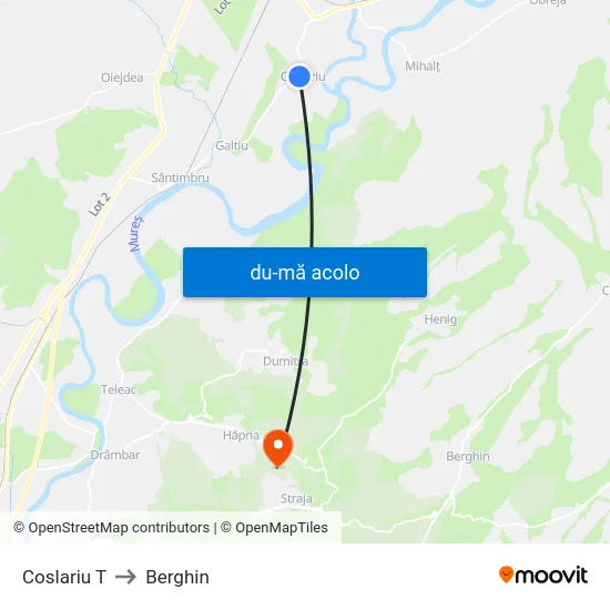 Harta de Coslariu T către Berghin