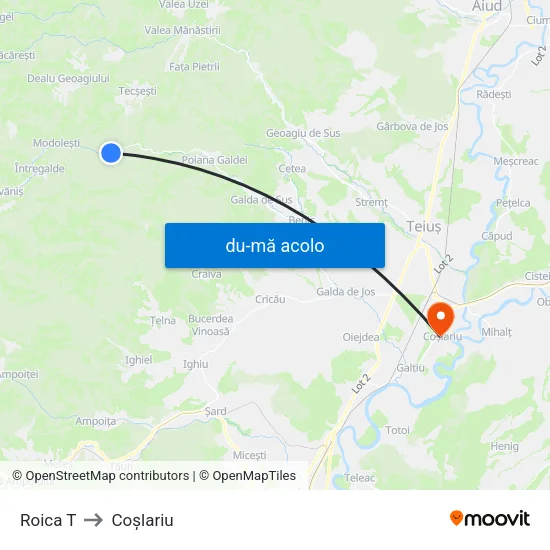 Harta de Roica T către Coşlariu