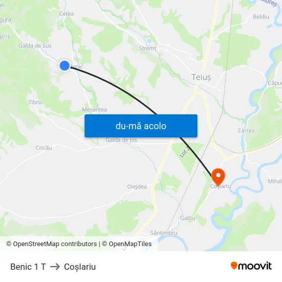 Harta de Benic 1 T către Coşlariu