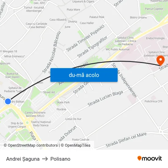 Harta de Andrei Șaguna către Polisano