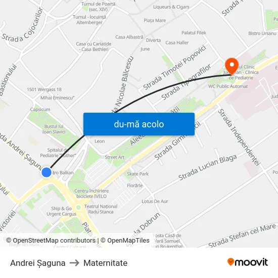 Harta de Andrei Șaguna către Maternitate