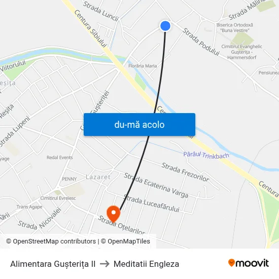 Harta de Alimentara Gușterița II către Meditatii Engleza