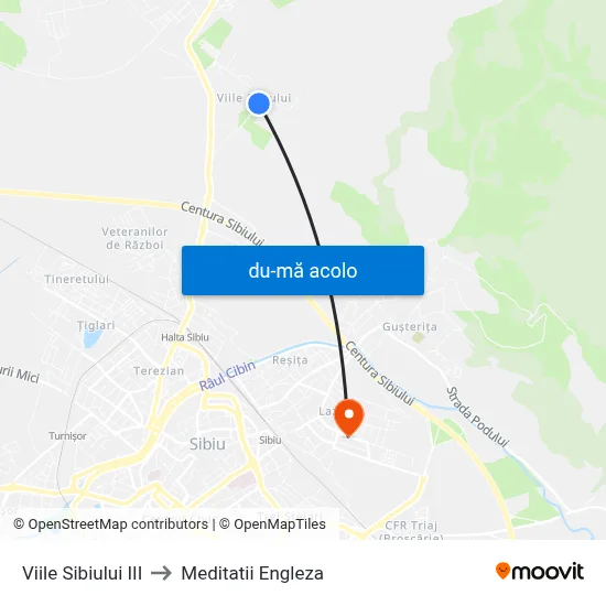 Harta de Viile Sibiului III către Meditatii Engleza