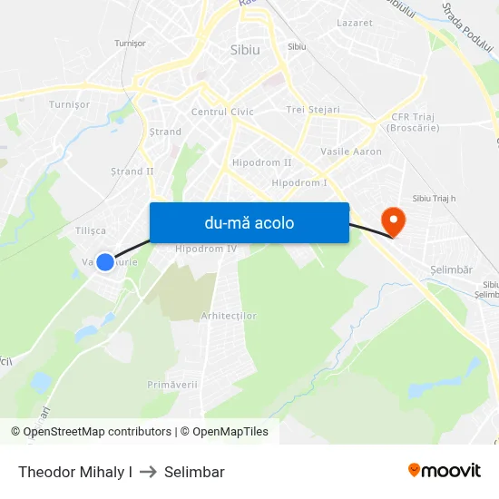 Harta de Theodor Mihaly I către Selimbar