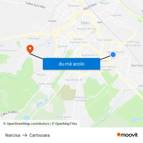 Harta de Narcisa către Cartisoara