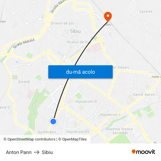 Harta de Anton Pann către Sibiu