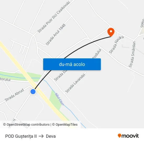 Harta de POD Gușterița II către Deva