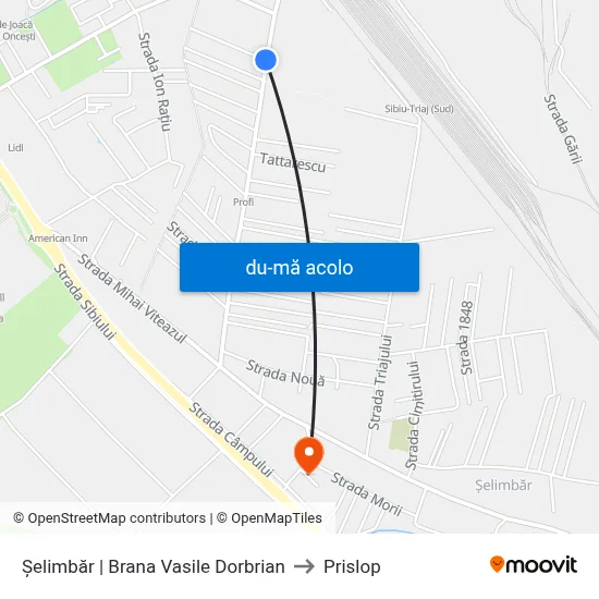 Harta de Șelimbăr | Brana Vasile Dorbrian către Prislop