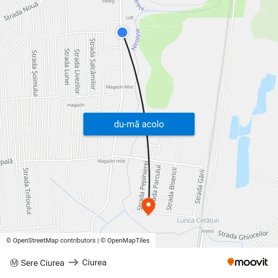 Harta de Ⓜ Sere Ciurea către Ciurea