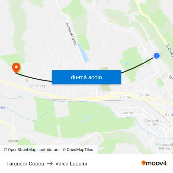 Harta de Târguşor Copou către Valea Lupului