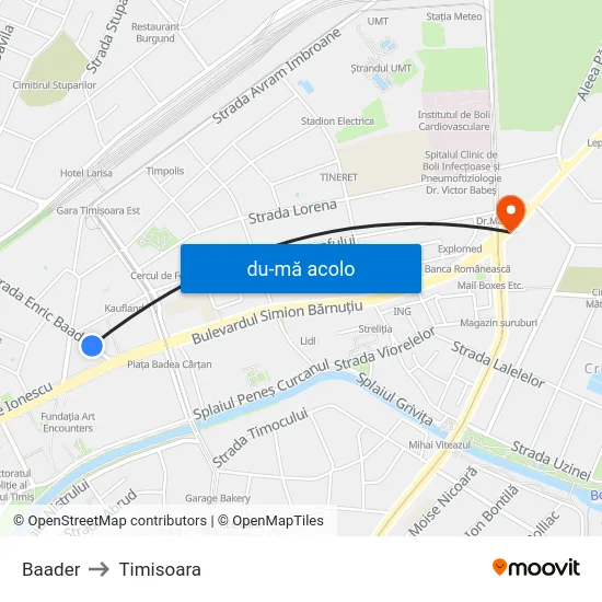 Harta de Baader către Timisoara